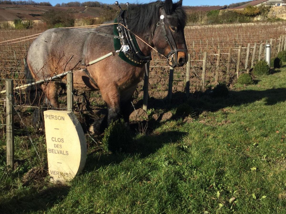 Le Clos Des Belvals Blancs-Coteaux Esterno foto