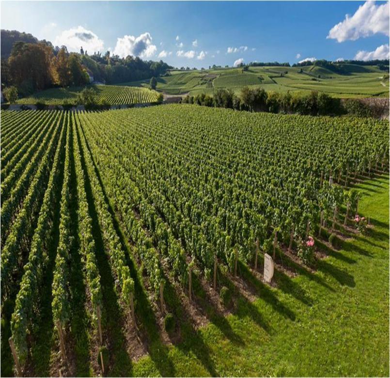 Le Clos Des Belvals Blancs-Coteaux Esterno foto